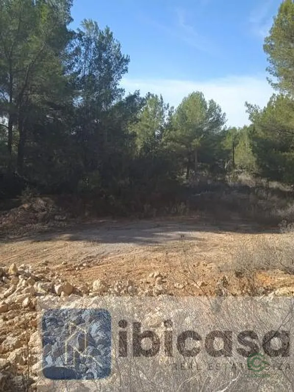 Spot image
