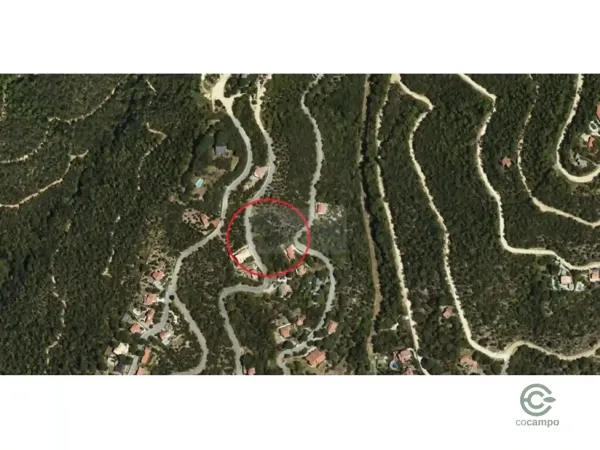 Spot image