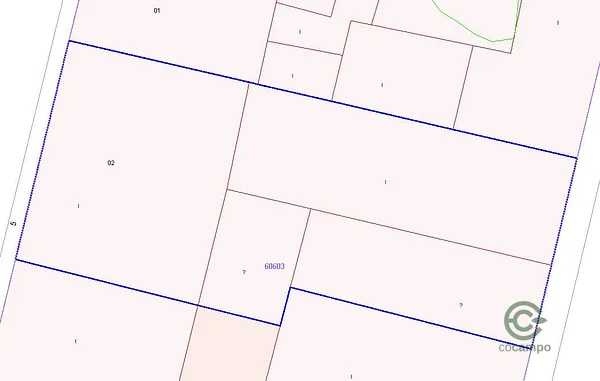 Spot image