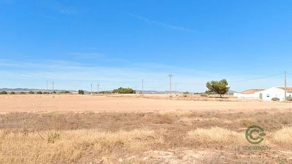 Spot image