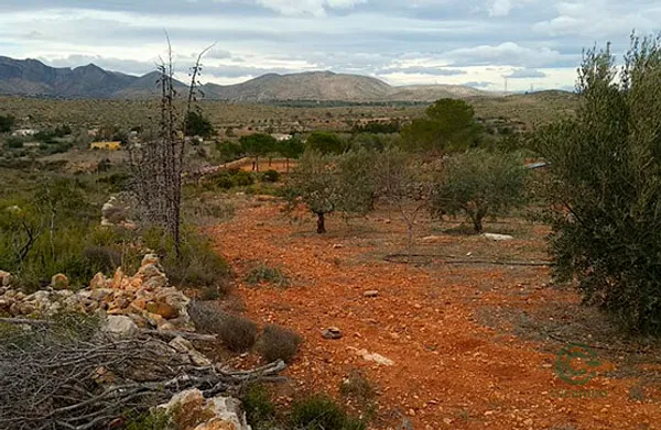 Spot image
