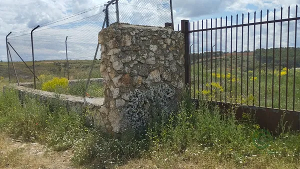 Spot image