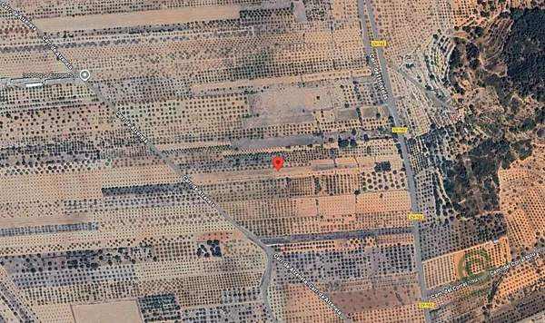 Spot image
