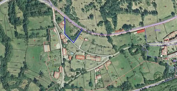 Spot image