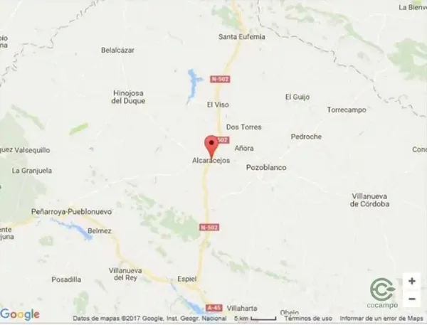 Spot image