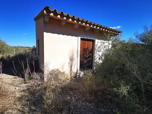 Spot image