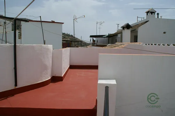 Spot image