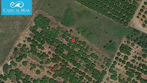 Spot image