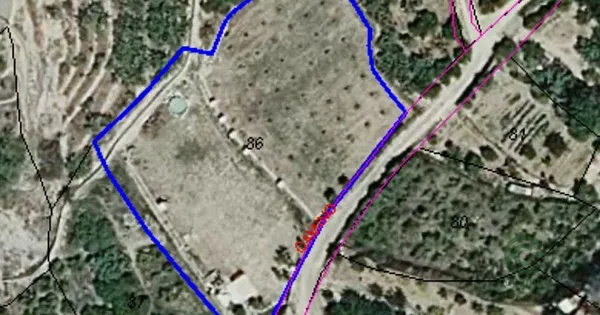 Spot image