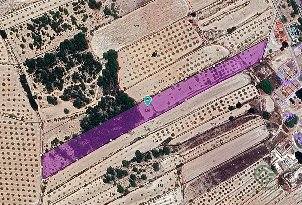 Spot image