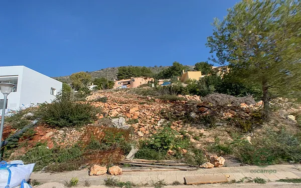 Spot image