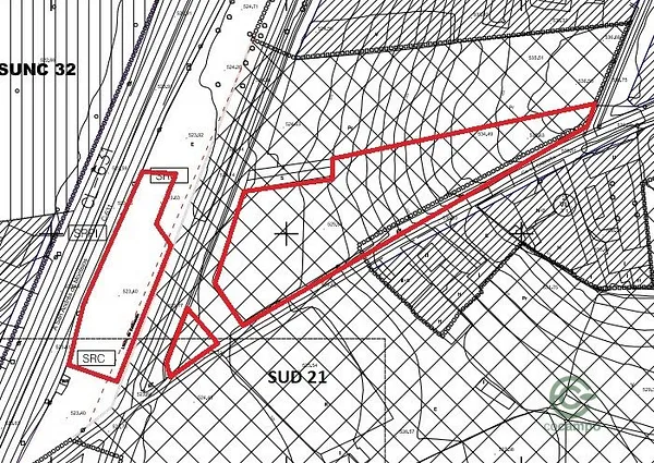 Spot image