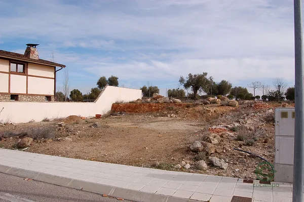 Spot image