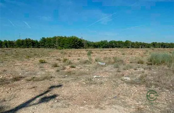 Spot image