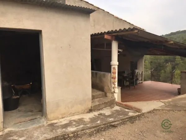 Spot image