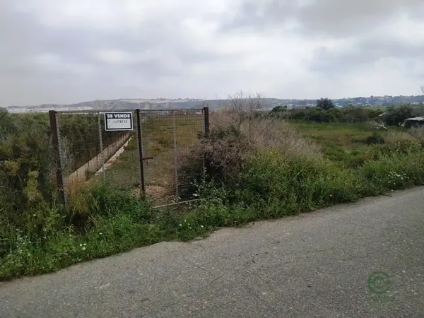 Spot image