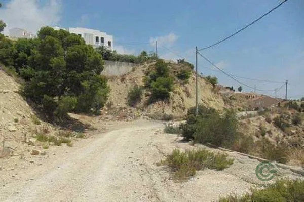 Spot image