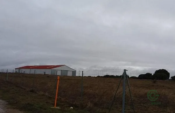 Spot image