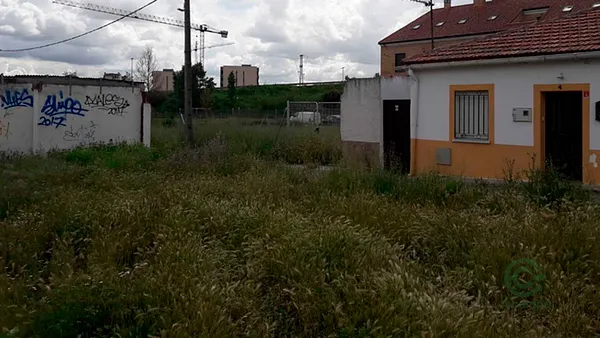 Spot image