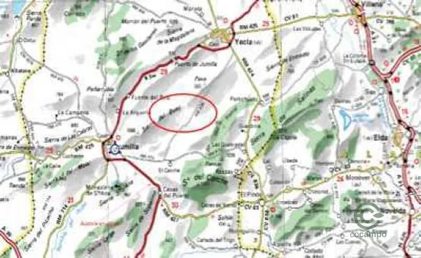 Spot image