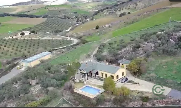Spot image
