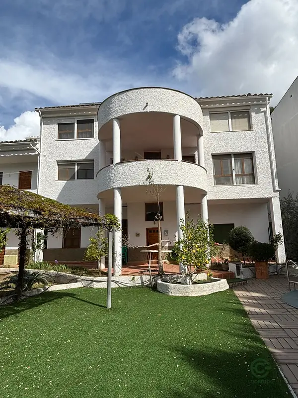 Spot image