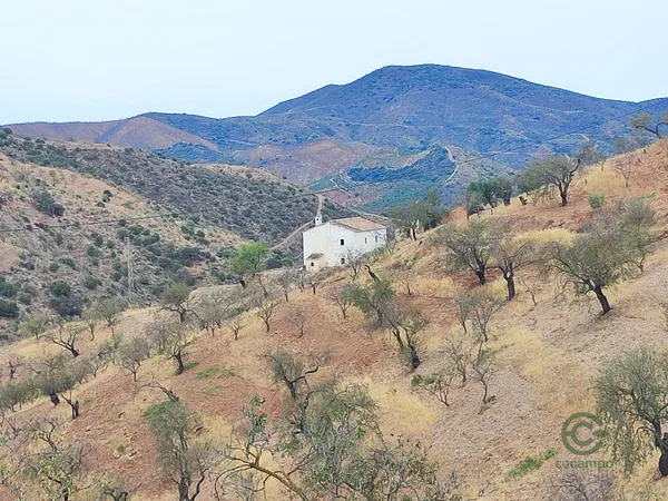 Spot image
