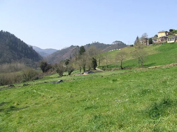 Spot image