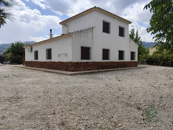 Spot image