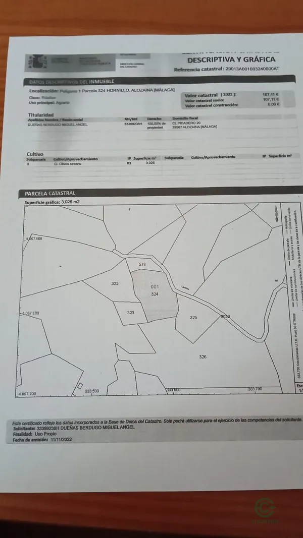 Spot image