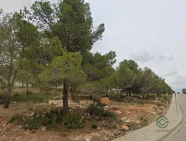 Spot image