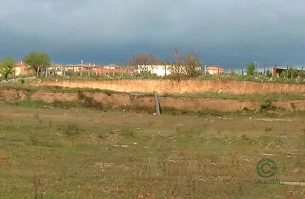 Spot image