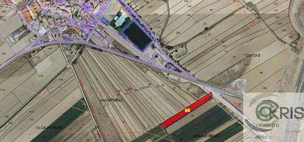 Spot image