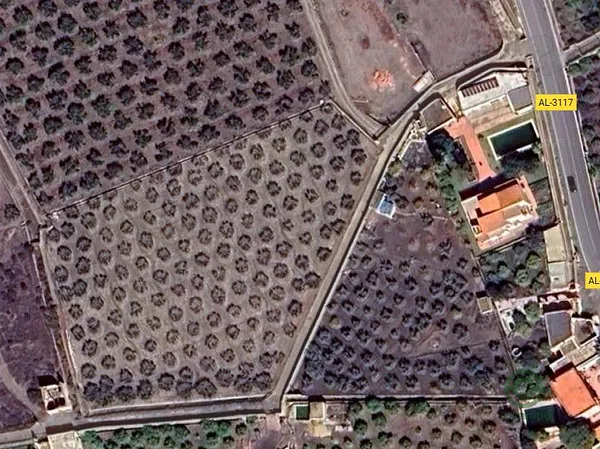 Spot image