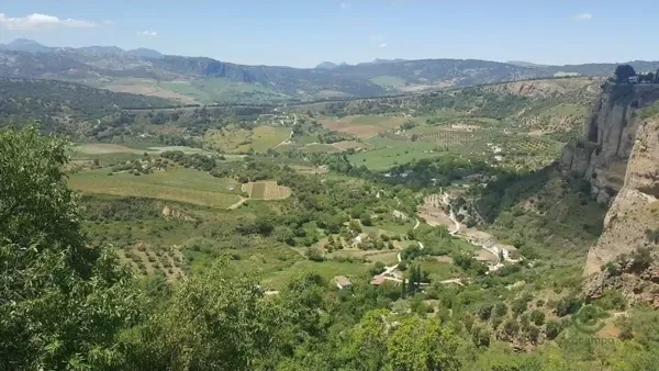 Spot image