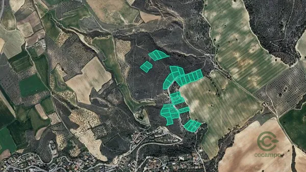 Spot image