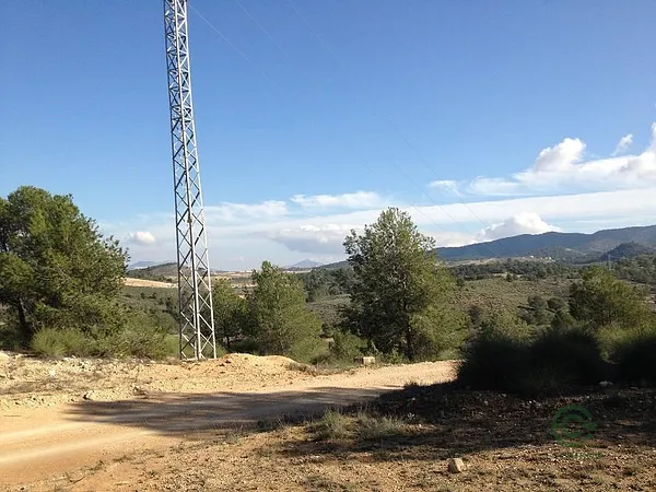 Spot image