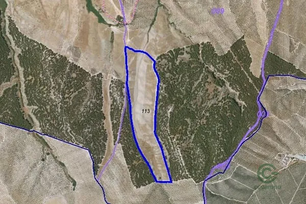 Spot image