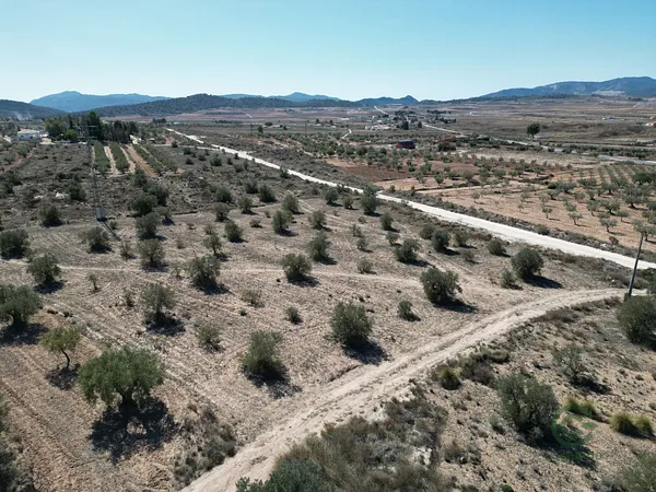 Spot image