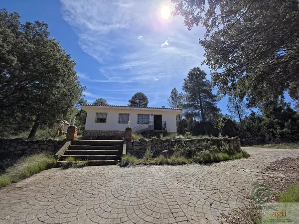 Spot image