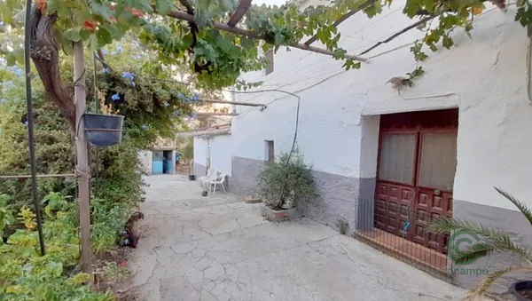 Spot image