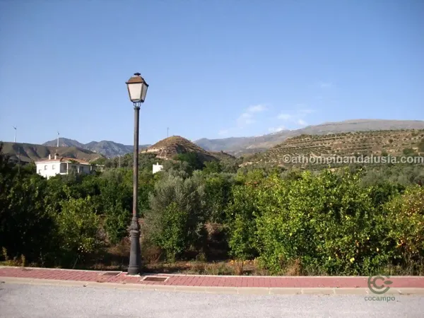 Spot image