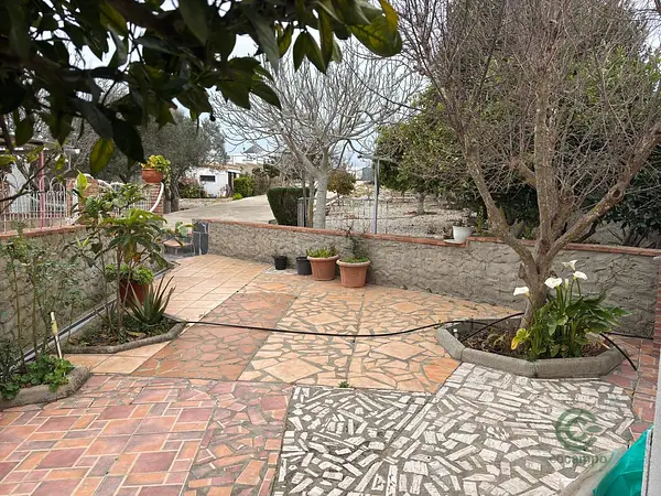 Spot image