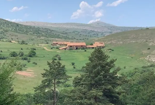 Spot image