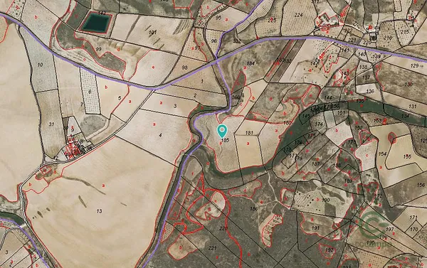 Spot image