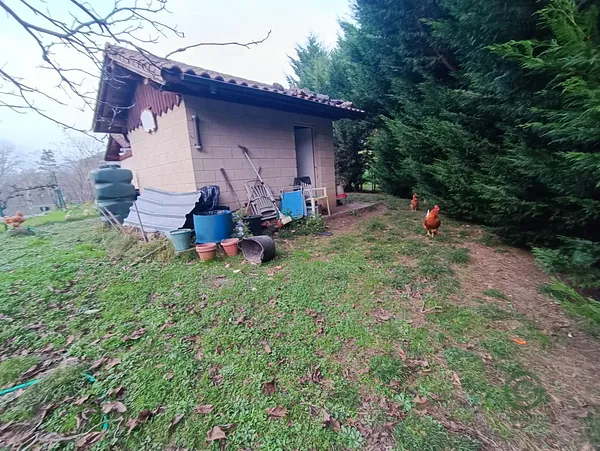 Spot image