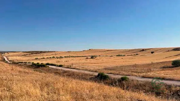 Spot image