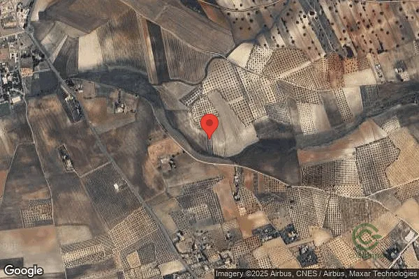 Spot image