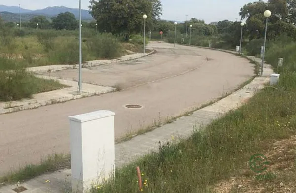 Spot image