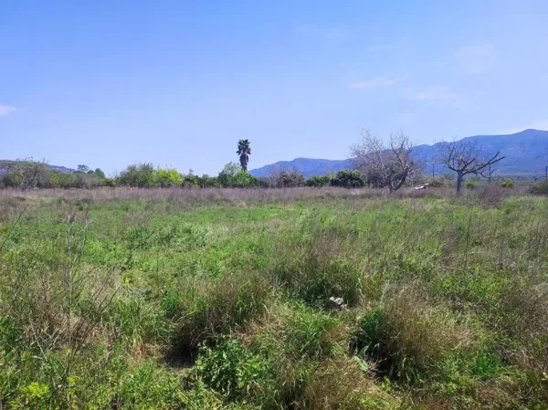 Spot image